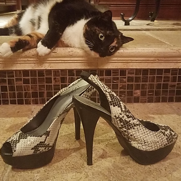 Shoes - Picture 6 of 7